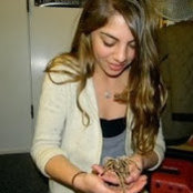 Mollie Siegel's photo
