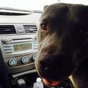Pablo Sarquis's photo