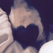 Kelley O'Gorman's photo
