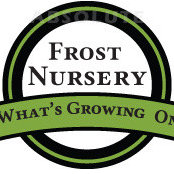 Robert Frost's photo