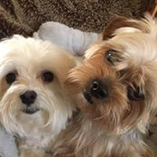 Kelly Devine's photo