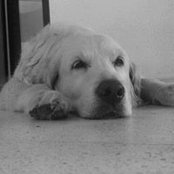 Ilker Koskos's photo