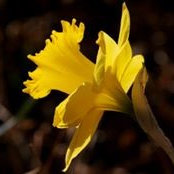 Elizabeth Anker's photo