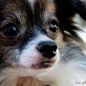 Jean Secrest's photo