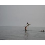 Robin Lapointe's photo