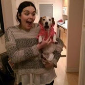 Heather O'Connell's photo