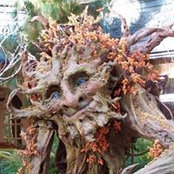 Robyn McDowell's photo