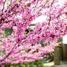 webuser_369807804's ideas