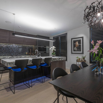 Hamilton Apartment