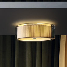 Licht