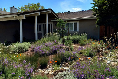 Inspiration for a mid-sized rustic drought-tolerant front yard river rock landscaping in San Francisco.