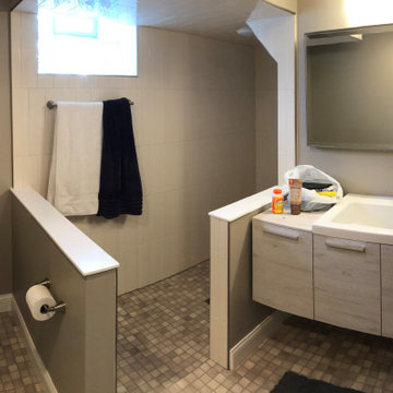 Barber basement bathroom