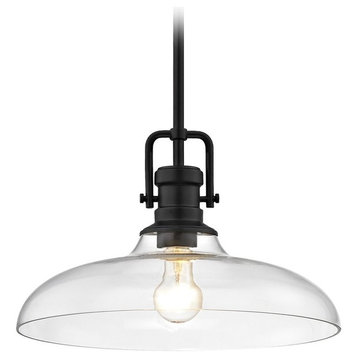 Industrial Clear Glass Pendant Light Black Finish 14-Inch Wide
