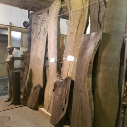 Bog Oak - Decorative Trunks