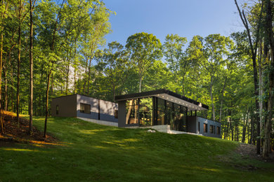Example of a minimalist house exterior design in New York with a black roof