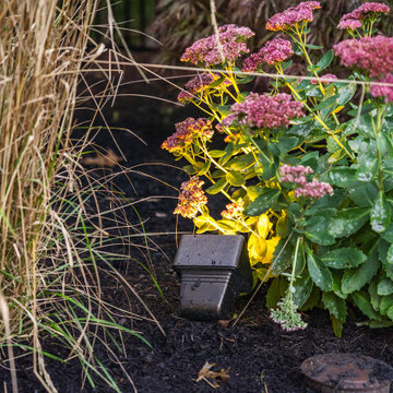Outdoor Lighting