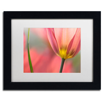Cora Niele 'Tulipa Planifolia' Matted Framed Art