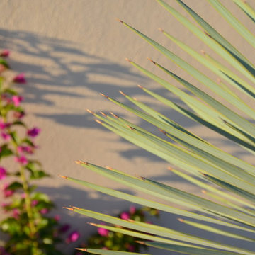 Un jardin moderne face à la mer