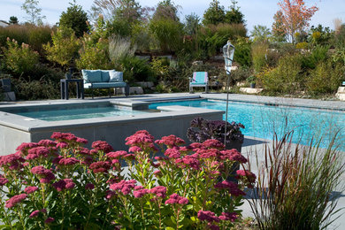 Pool - contemporary pool idea in Chicago