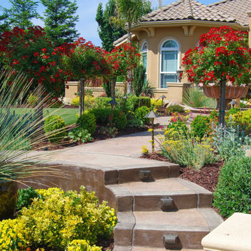 Premier Landscape Design