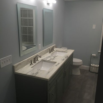 Contemporary Theme Remodel