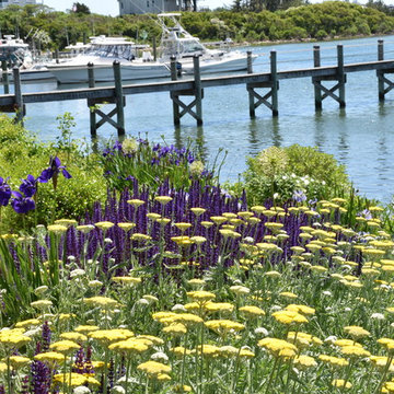 Seaside garden in Rhode Island