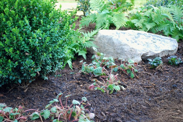 Сад by Jay Sifford Garden Design