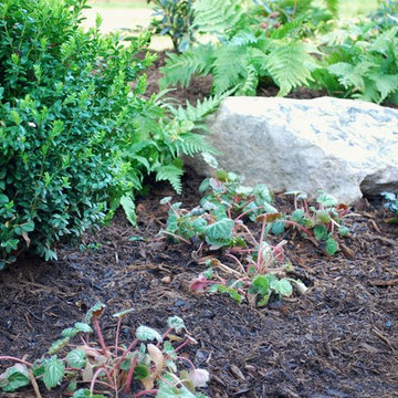 Madison Park Project
