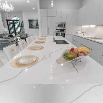 Sleek Elegance - Full Matte Lacquer Kitchen Project