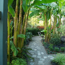 Greenery