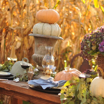 My Fall Palette