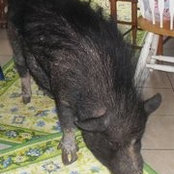 Foto de Peggy Gray
