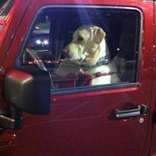 Zach Ladner's photo