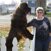 Nancy Hanson's photo