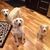 Mark Baugh's photo