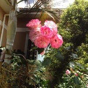 Harriet Keng's photo
