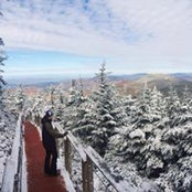 Marley Pawlak's photo