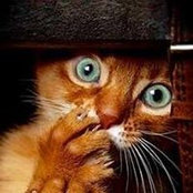 Betsy Phariss's photo