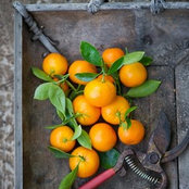 Isabella Swick's photo
