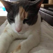 Lisa Walter's photo