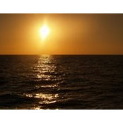 Kathy Leahy's photo