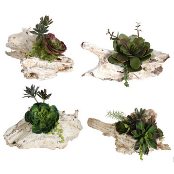 4-Piece Succulent On Wood Stand Set