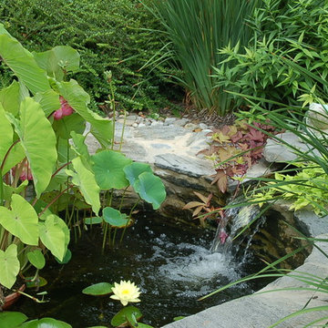 Pollinator Garden