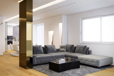 Esempio di un soggiorno contemporaneo con pareti bianche, parquet chiaro e soffitto ribassato