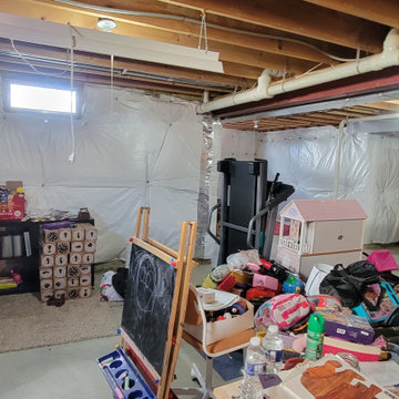 Basement Finish with Full bathroom addition and Office