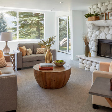 Contemporary - House