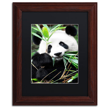 Philippe Hugonnard 'Giant Panda I' Art, Wood Frame, Black Matte, 14"x11"