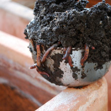 Composting