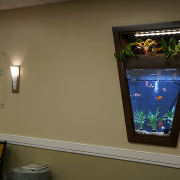 Aquarium Wall Divider in Cranford, New Jersey