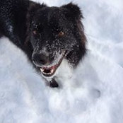 Foto von Addy Subbie